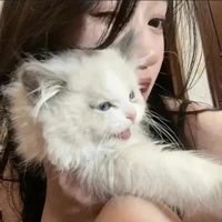 Phạm Huỳnh An/ nhím