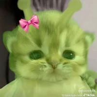 T/g