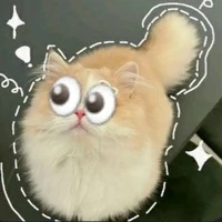 (all trừ ai cũng được)