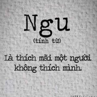 Kon T/G see tình