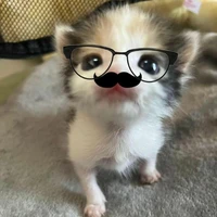 Yuu nà