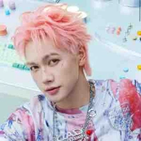 Nguyễn Thái Sơn ( mèo )