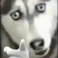 tg nấu thuốc hồi Trinh 🍴🥀