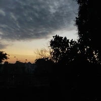 Tác Giả Viết Xàm