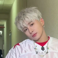 sơnk Lê Hồng Sơn