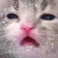 Tôi