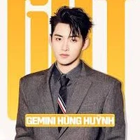 Huỳnh Hoàng Hùng-Gemini