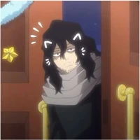 shoto aizawa