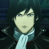 Shimamura Ichiyo (kamen rider v3)