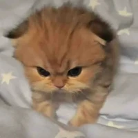 @LeeKwonHùm