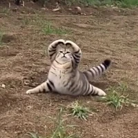Tác giả