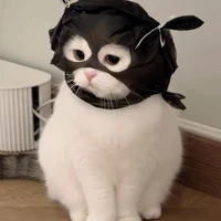 cả đám
