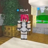 h1h4