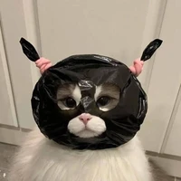 tgia bị khùn💔