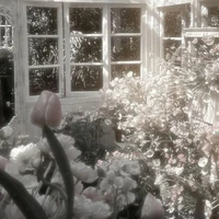 ⊹ ࣪ ˖ Kay ⊹ ࣪ ˖