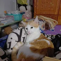 bé khoai