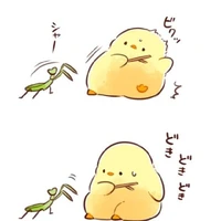 bông