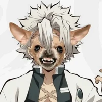 shinazugawa sanemi-Wind Hashira 🌪️