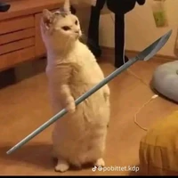 t/g + hệ thống xinh đẹpp