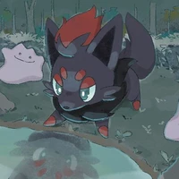 Zorua
