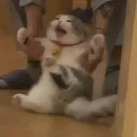 Hệ thống 0312( mây )