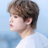Bùi Trường Linh