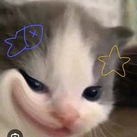 con tg flop mạnh nhất lịch sử