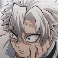 Shinazugawa Sanemi
