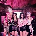 Jennie,Rosé,Lisa