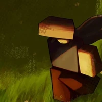 Cloak