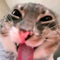 TÔMMM