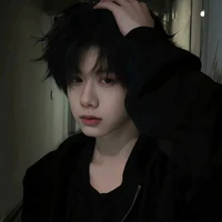 Trần Dịch Hằng