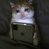 all