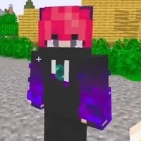 hiha enderman