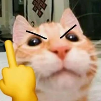 t/g xàm l..n