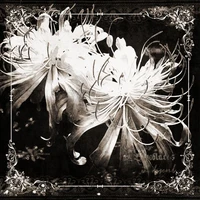 °ĐA NHÂN
