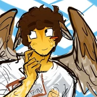 °SHEDLETSKY [ Jonh Shedletsky ]