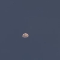 cân mọi loại nhân vật