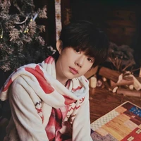 Trần Dịch Hằng