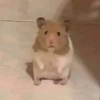 All