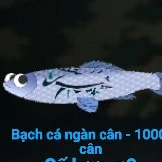 bạch cá ngàn cân