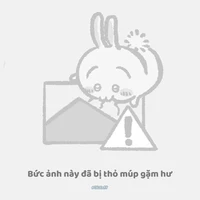 NVP – girl