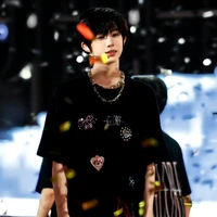 Trần Dịch Hằng (em)