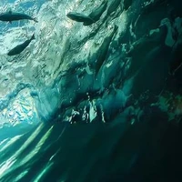 °-Người bí ẩn-°