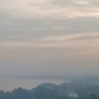 ||Tác giả||