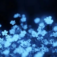 t/g sì ki bi đi 🥵🤑