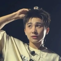 Lê Hồng Sơn