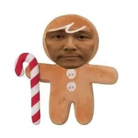 Ginger Brave Cookie