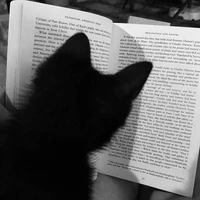 hệ thống (Reaper)