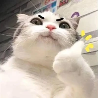 quản lý